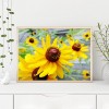 Coneflower - Full Round Diamond - 40*30cm