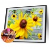 Coneflower - Full Round Diamond - 40*30cm