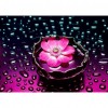 DIY Lotus Flower Mosaic Home Decor Full Drill Diamond Painting Bead Art