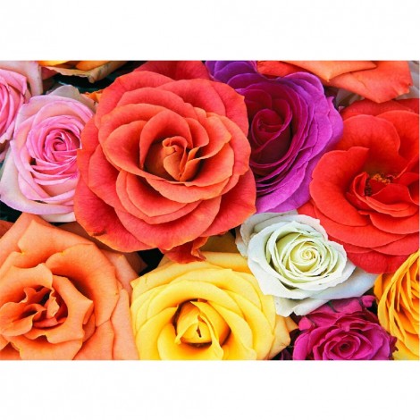 Diamond Painting Full Round Drill DIY Colorful Rose 5D Rhinestone Picture