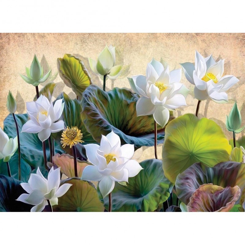 Elegant White Lotus ...